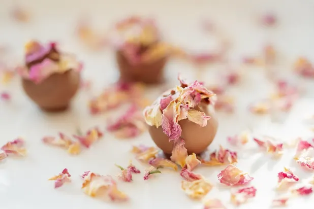 Tusk Casino Android/iOS aplikacija